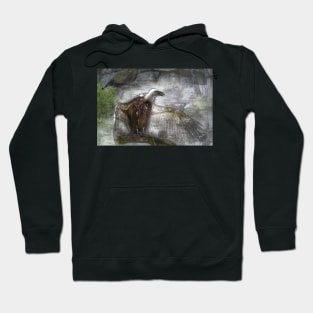 Vulture - portrait 02 Hoodie